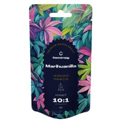 Marihuanilla Extrait Canntropy – Leonurus sibiricus, 25g | Gardenz