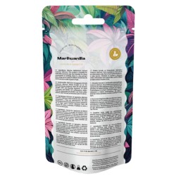 Marihuanilla Extrait Canntropy – Leonurus sibiricus, 25g | Gardenz