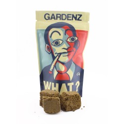BZH Primero - CBD