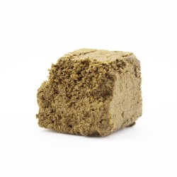 BZH Primero - CBD