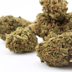 Sour Lifter - CBD