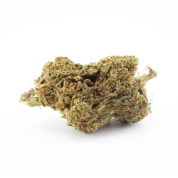 Sour Lifter - CBD
