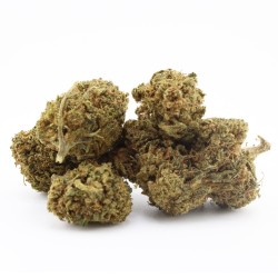 Sour Lifter - CBD