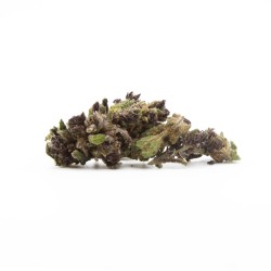 Fleur CBD Purple Panther Small Bud – Abricot, lavande | Gardenz