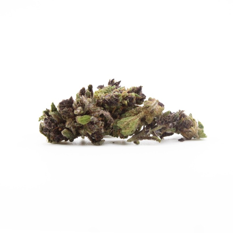 Fleur CBD Purple Panther Small Bud – Abricot, lavande | Gardenz