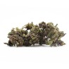 Fleur CBD Purple Panther Small Bud – Abricot, lavande | Gardenz