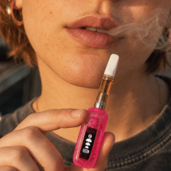 Batterie 510 original retro rose - Gpen