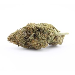 Orange Pie - CBD