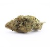 Orange Pie - CBD