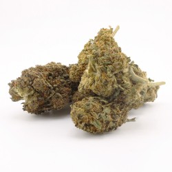 Orange Pie - CBD