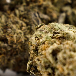 Orange Pie - CBD