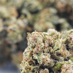 Paris OG