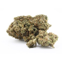 Paris OG
