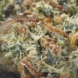 Fleur Paris OG H3 – Pin, eucalyptus, kush, indoor | Gardenz