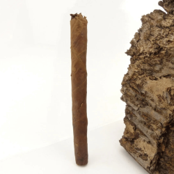 Backwoods Silver Cigars Leaf Paper x5 – Café, crème | Gardenz
