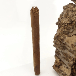 Backwoods Authentic Cigars x5