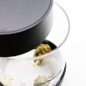 Terpseals Glass Jar 600ml - Terpseals