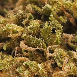 Pink Pineapple - Small Buds - CBD
