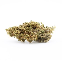 Pink Pineapple - Small Buds - CBD