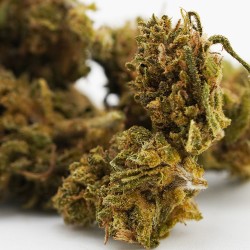 Pink Pineapple - Small Buds - CBD