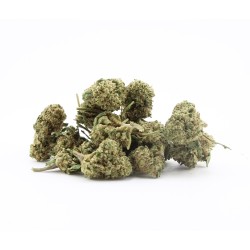 Sapphyre Kush - small buds