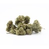 Sapphyre Kush - small buds