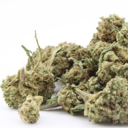 Sapphyre Kush - small buds