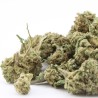 Sapphyre Kush - small buds