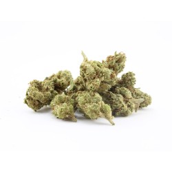 Orange organic - Small buds