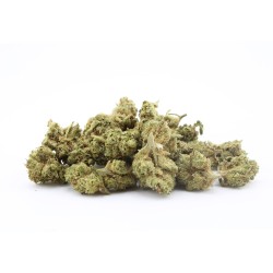 Orange organic - Small buds