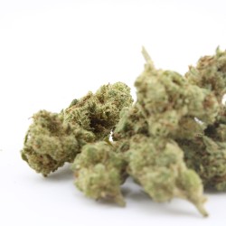 Orange organic - Small buds