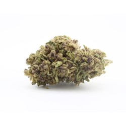 Purple runtz CBD