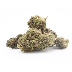 Purple runtz CBD