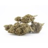 Harley Quinn - CBD