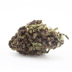 Black Purple - CBD