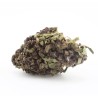 Black Purple - CBD