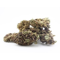 Black Purple - CBD