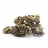 Black Purple - CBD