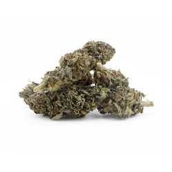 Fleur CBD Strawberry Kush outdoor France bio | Gardenz