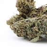 Fleur CBD Strawberry Kush outdoor France bio | Gardenz
