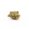 Devil OG - Small buds
