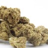 Devil OG - Small buds