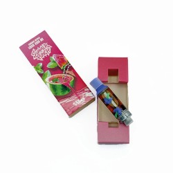 Cartouche Summer Punch 2000 mg 510 VIBES | Signature Blend – Gardenz
