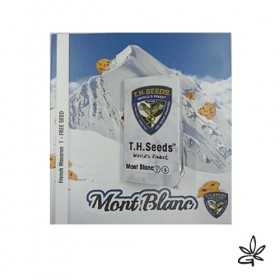 Graines Mont Blanc fem X6...