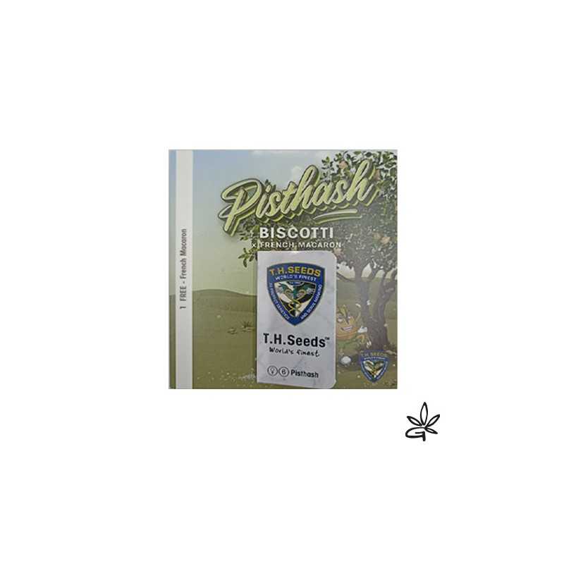 Graine CBD Pisthash fem X6 +1 - Gardenz CBD Shop