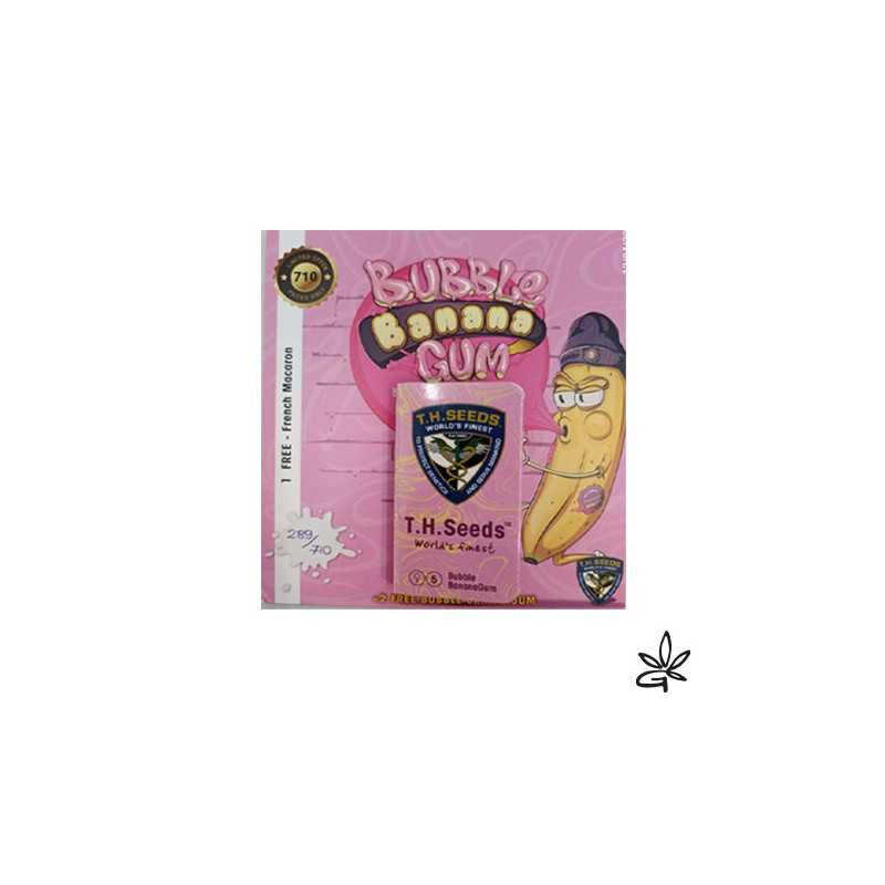 Graine CBD Bubble banana gum fem X7 +1 - Gardenz CBD Shop