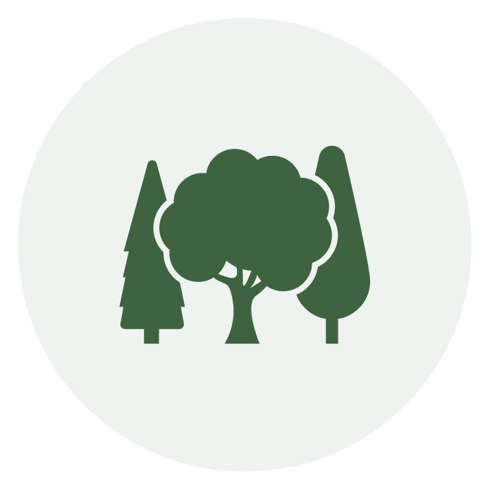 Ecotree arbre