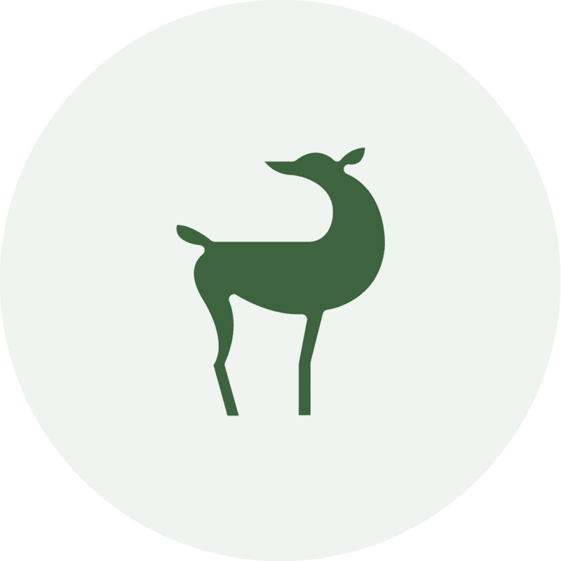 Ecotree animal