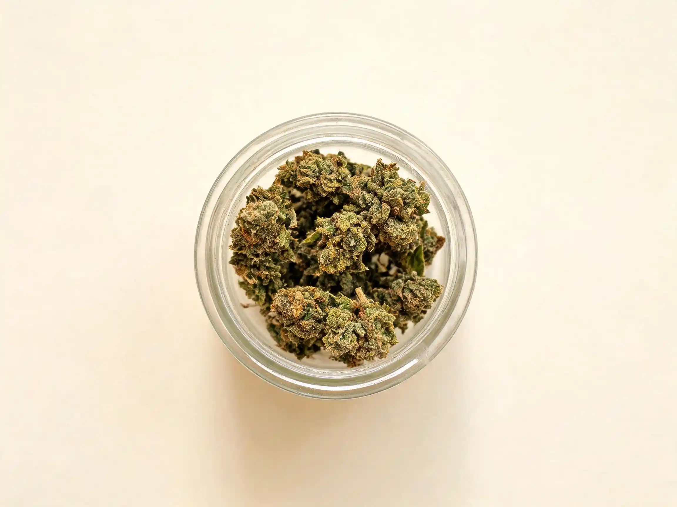 Têtes de fleurs de chanvre CBD séchées en gros plan