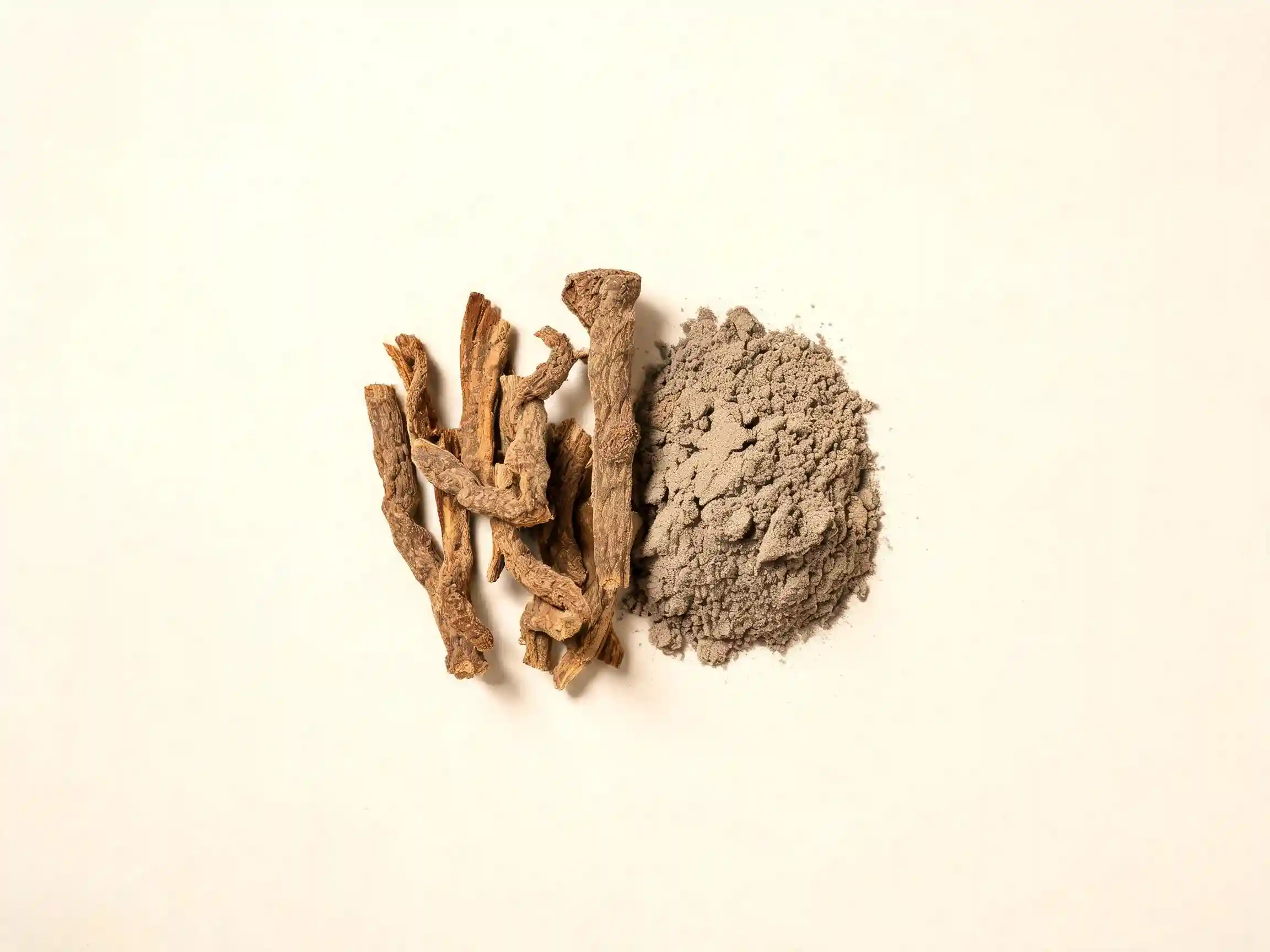 Racine de kava Piper methysticum en poudre